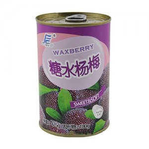 富春江糖水楊梅罐頭425g