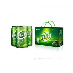 亞太生物呼吸寶310mlx10