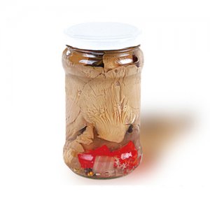 錦鵬調(diào)味平菇罐頭