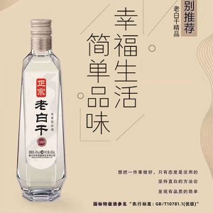簡單品味老白干1869酒480ml