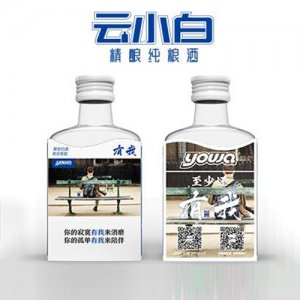 云小白精釀純糧酒yowa系列100ml紙?zhí)卓?>
									<div   id=