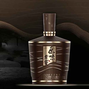 瀘州原味老窖N9地道白酒