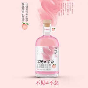 不等式蜜桃茉莉果酒300ml