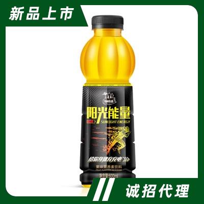 陽光能量果味營養(yǎng)素飲料能量飲料