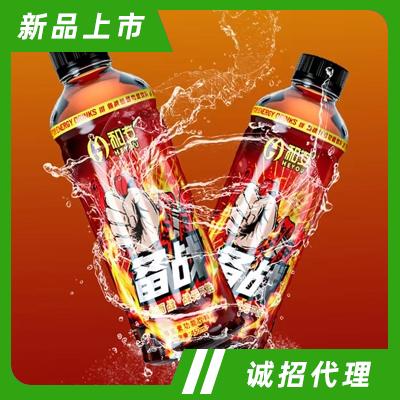 和友備戰(zhàn)維生素功能飲料運動后健康飲品450ml
