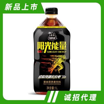 陽光能量果味營養(yǎng)素飲料維生素飲料功能飲料大瓶飲料