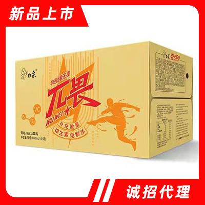 白象青桔味運(yùn)動飲料600mlX15