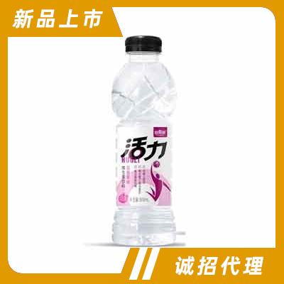 維果命活力維生素飲料功能飲料招商百香果味600ml