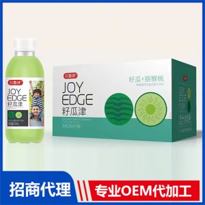 獼猴桃籽瓜復(fù)合果汁飲料1OEM/ODM定制代加工