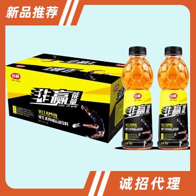 非贏能量維生素風(fēng)味運(yùn)動(dòng)飲料箱