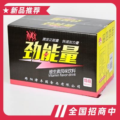 勁能量維生素風(fēng)味飲料500mlX15瓶