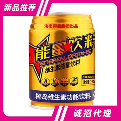 椰島維生素功能飲料250ml