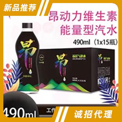昂動力維生素能量型汽水490mlX15瓶