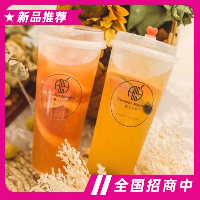 安徽愛椰食品銷售有限公司