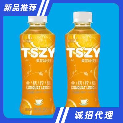 陶山莊園金桔檸檬果味茶飲料360ml