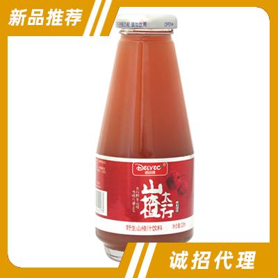 新鄉(xiāng)市德廣飲品有限責(zé)任公司