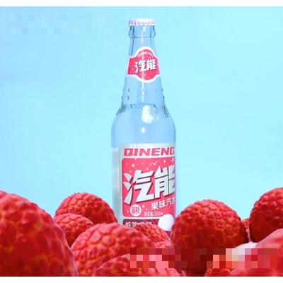 四川汽能食品科技有限公司