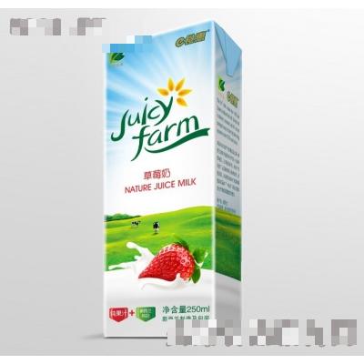 天然乳品(新西蘭)控股有限公司