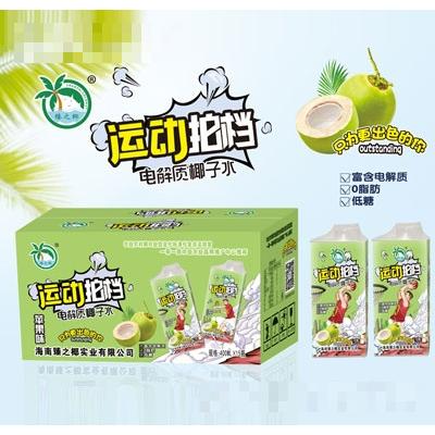 海南臻之椰實業(yè)有限公司