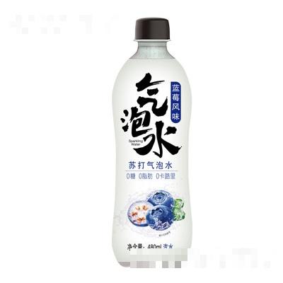藍(lán)莓風(fēng)味蘇打氣泡水480ml