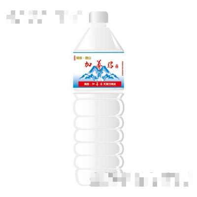 青島佳品啤酒（飲料）有限公司