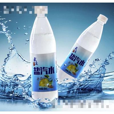 沌陽河鹽汽水檸檬味（瓶裝）