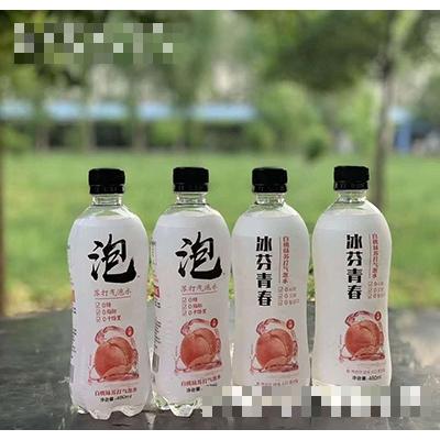 冰芬青春果味蘇打氣泡水480ml