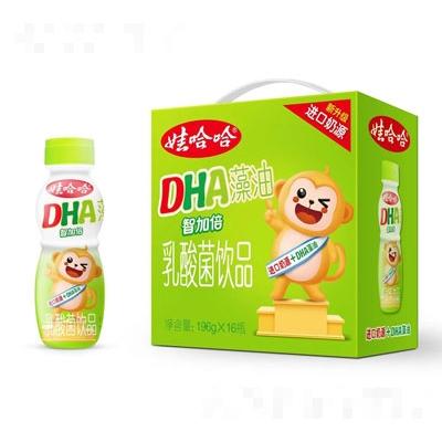 娃哈哈DHA乳酸菌