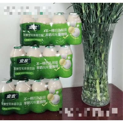 安牧發(fā)酵型乳酸菌飲品