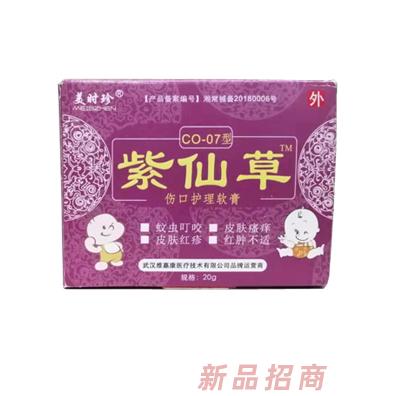 武漢維嘉康醫(yī)療技術(shù)有限公司