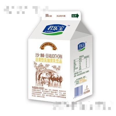 君樂寶沙棘活菌型乳酸菌乳飲品