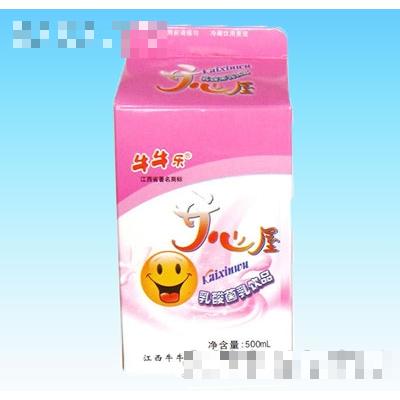 大開心屋乳酸菌