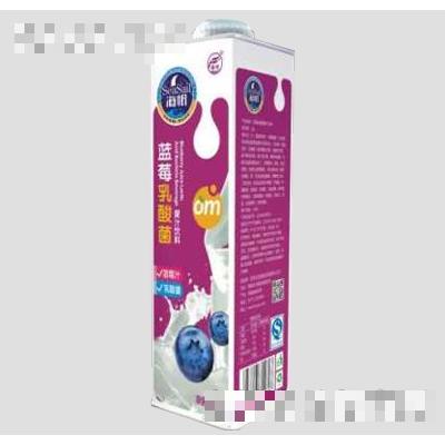 海帆藍(lán)莓乳酸菌1.5L