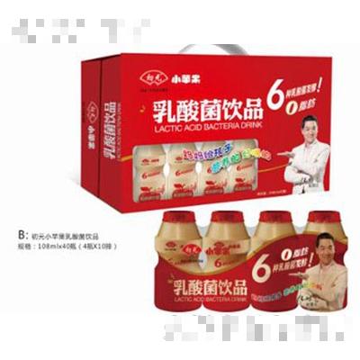 初元小蘋果乳酸菌（108ml）