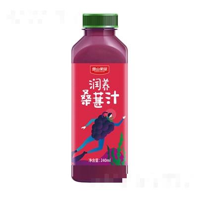 新疆雪山果園食品有限公司