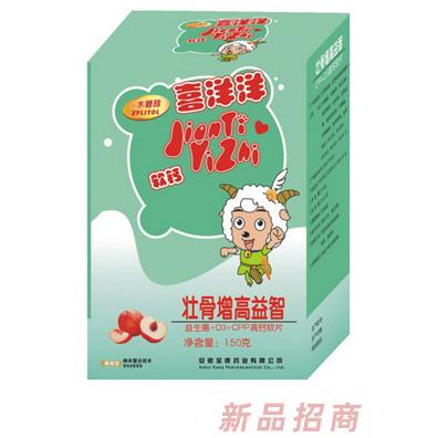 安徽全康藥業(yè)有限公司