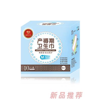 皇家之星 綿柔型產(chǎn)褥期衛(wèi)生巾M碼10片裝