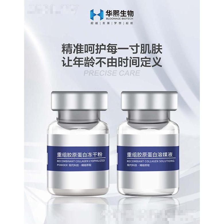 三型膠原蛋白凍干粉