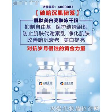 肌肽美白亮膚凍干粉