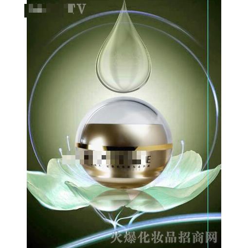 廣州蘭馥化妝品有限公司