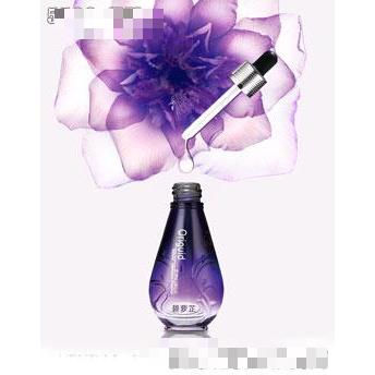 悠嵐達(dá)碧蘿芷