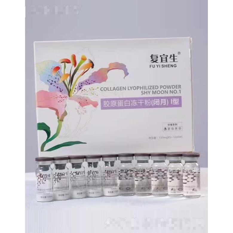 復(fù)宜生膠原蛋白凍干粉(閉月)I型