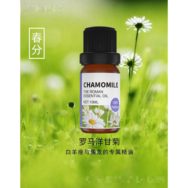 羅馬洋甘菊精油 10ml