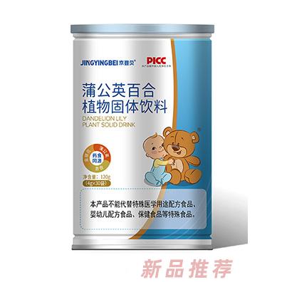 京嬰貝蒲公英百合植物固體飲料