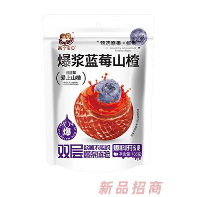 兩個(gè)寶貝爆漿藍(lán)莓山楂106g