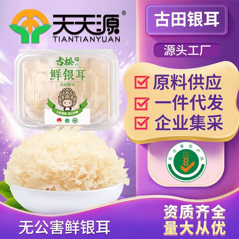 古松古田新鮮銀耳oem代工