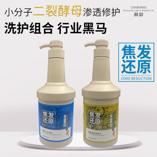 焦發(fā)還原水光酸補(bǔ)水修護(hù)發(fā)膜護(hù)發(fā)素oem代加工