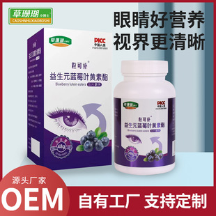 藍(lán)莓葉黃素酯咀嚼片