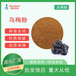 果蔬代餐粉 烏梅粉OEM代加工