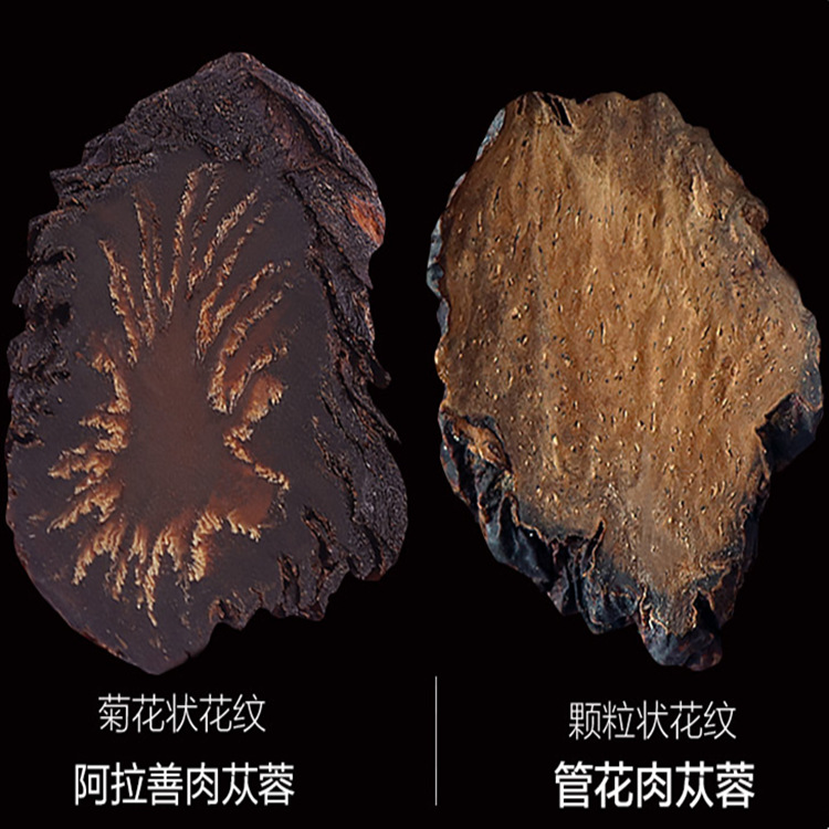 批發(fā)代發(fā)新鮮阿拉善肉蓯蓉與鎖陽(yáng)泡酒內(nèi)蒙古中藥材肉蓯蓉油切片OEM代加工